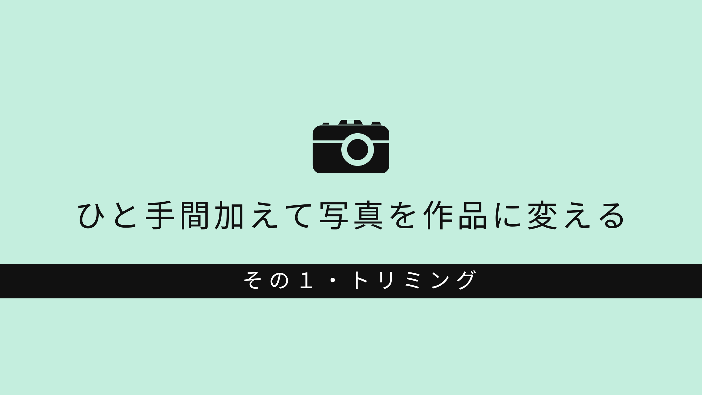 簡単 撮影後たった２つの作業で写真をより素晴らしい作品に その１ トリミング サンニッパ