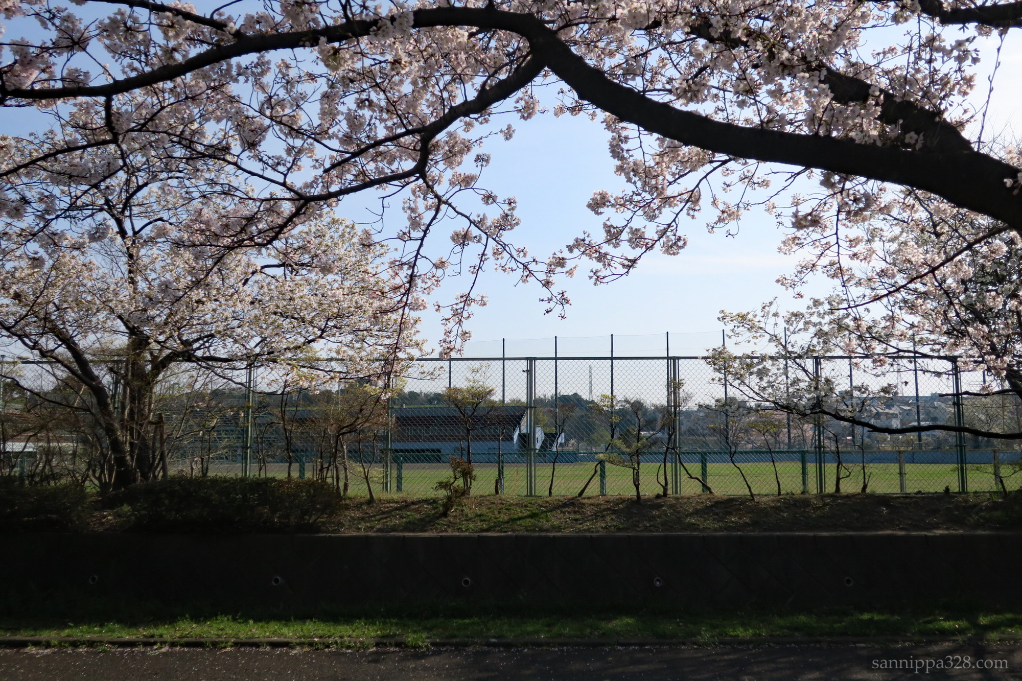 球春到来🌸関東1都6県の野球連盟サイトまとめました