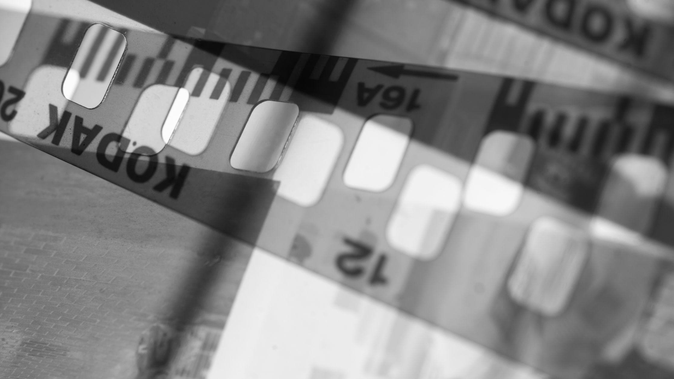 掲載している写真の扱いについて